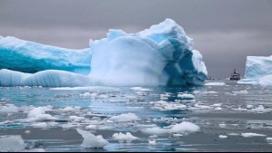 Por derretimiento de hielo: Investigadores advierten que el nivel del mar podría elevarse al 2050