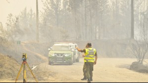 Incendios forestales: Gobierno informa 43 detenidos y advierte que 73 siniestros se mantienen en combate