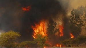 Ordenan evacuación en sectores de Coronel por proximidad de incendio forestal