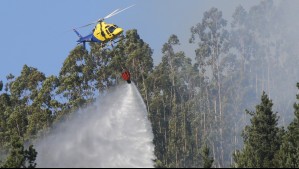 Declaran Alerta Roja por incendio forestal en la comuna de Santo Domingo