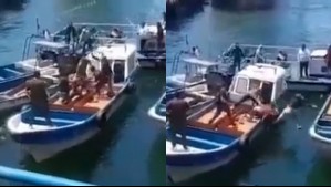 Video muestra pelea entre lancheros en Valparaíso: Dos cayeron al mar y Fiscalía se pronunció al respecto