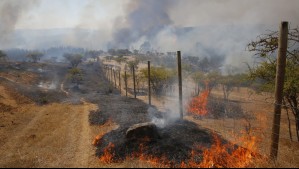 Habría utilizado un dron durante incendio: Conaf denunció ante la DGAC al diputado Francisco Pulgar