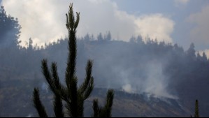 Incendios forestales: Gobierno advierte que condiciones 'se van a complejizar' este domingo
