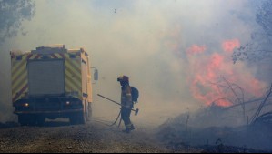 Incendios forestales: Hay 22 en combate y 458 mil hectáreas han sido destruidas según Senapred