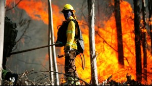 Conaf y Bomberos deberán pagarle $120 millones a familia de voluntario que murió en incendio forestal