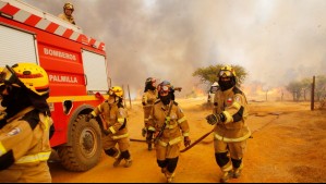 Incendios forestales: Se canceló Alerta Roja en Ñuble y evento 'Santa Ana' está contenido