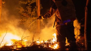 '98% son chilenos': Carabineros reporta 50 detenidos por su presunta responsabilidad en incendios forestales