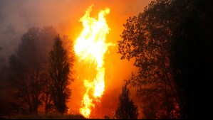 Reportan nuevo fallecido por incendios forestales: Se trata de un ciudadano belga de 77 años
