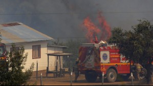 Alerta Roja por incendio forestal en comuna de región de Magallanes: Más de 1.500 hectáreas consumidas