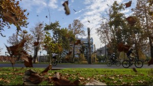 Falta menos de un mes: ¿Cuándo comienza el otoño en Chile?