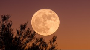 ¿Qué es la Luna de Gusano? Revisa cuándo podrás ver el evento astronómico