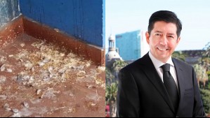 'No sacaban nada con limpiar': Los polémicos dichos del alcalde de Antofagasta por denuncia de plagas en colegios