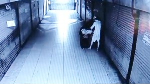 Delincuente intentó robar cajones con frutas y terminó llamando a Carabineros para evitar que le dieran una golpiza