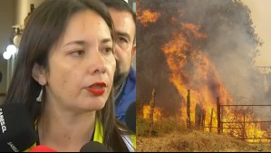 Alcaldesa de Santa Juana y los efectos de los incendios forestales: 'Hay personas que no hablan y no duermen'