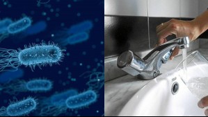 Muere al infectarse con la bacteria ameba comecerebros al lavarse la nariz con agua del grifo