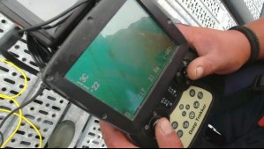 Desde 2018 han muerto 11 buzos en Chile: Innovador robot disminuye accidentes en industria salmonera