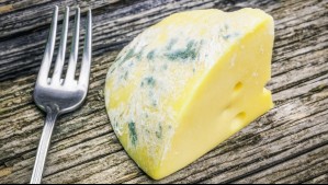 No hagas esto si ves hongos en tu queso: consejos para evitar riesgos