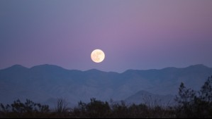 Luna de gusano: ¿Por qué se llama así y cuándo se verá?