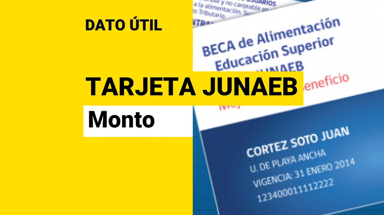 Beca BAES 2023: Conoce Cuál Es El Monto De La Tarjeta Junaeb Para Este ...