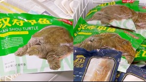 Ofrecía hasta carne de tortuga: Clausuran supermercado en Estación Central por vender alimentos fuera de la normativa