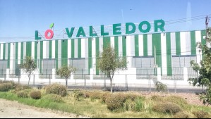 Reactivan millonario plan para construir nuevo mercado y edificios comerciales en Lo Valledor: Así quedaría el proyecto