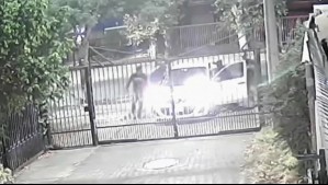'Nadie sabe si te van a matar': El temor de vecinos de Puente Alto que sufrieron asaltos diarios en una semana