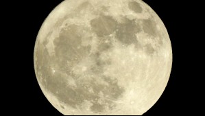 Meteorito chocó contra la Luna: Astrónomo japonés capturó el momento exacto