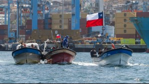 'Locos' en sobreexplotación: Sernapesca hizo llamado a denunciar la extracción y venta ilegal del marisco