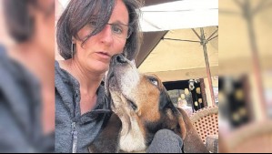 'Nos conectamos': Turista estadounidense inició trámites para llevarse a perro callejero que conoció en Valparaíso