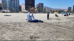 Más de 700 animales marinos han varado muertos en lo que va de 2023: 482% más que en 2022