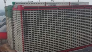 Será una granja en un edificio: China construye criadero de 26 pisos para producir más de un millón de cerdos al año