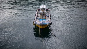 Cientos de barcos pesqueros chinos son captados cerca del mar argentino depredando la fauna