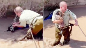 Video muestra a un perro siendo rescatado por carabinero tras caer al canal San Carlos