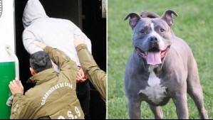 'Los perros se los van a comer': La amenaza de hombre acusado de soltar a pitbulls para agredir a Carabineros