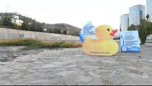 Un pato gigante aparece en el Río Mapocho: ¿Cuál es la razón de la intervención?