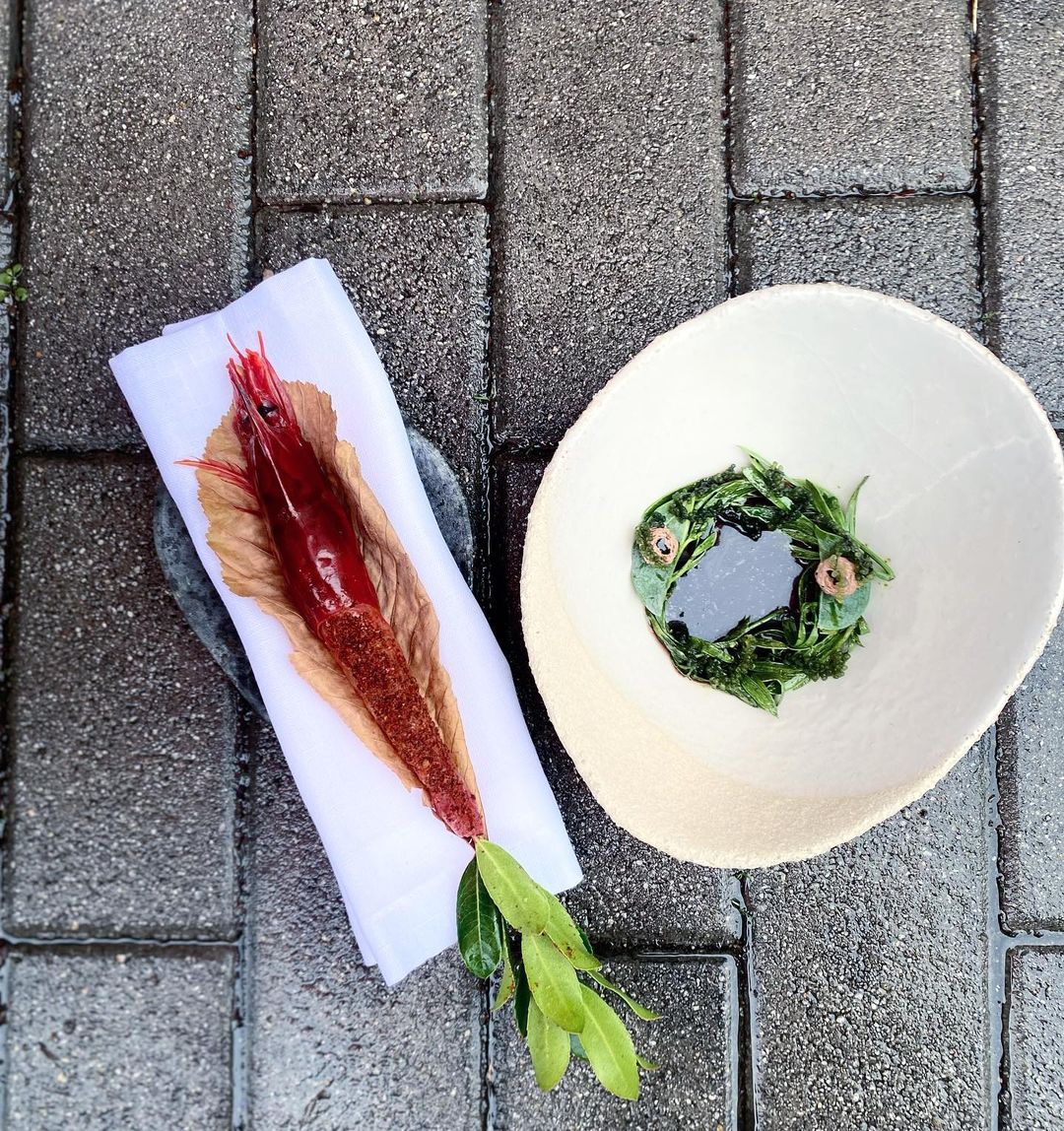 Carabinero a la brasa y plantas de roca y algas Marchitas. (Instagram)