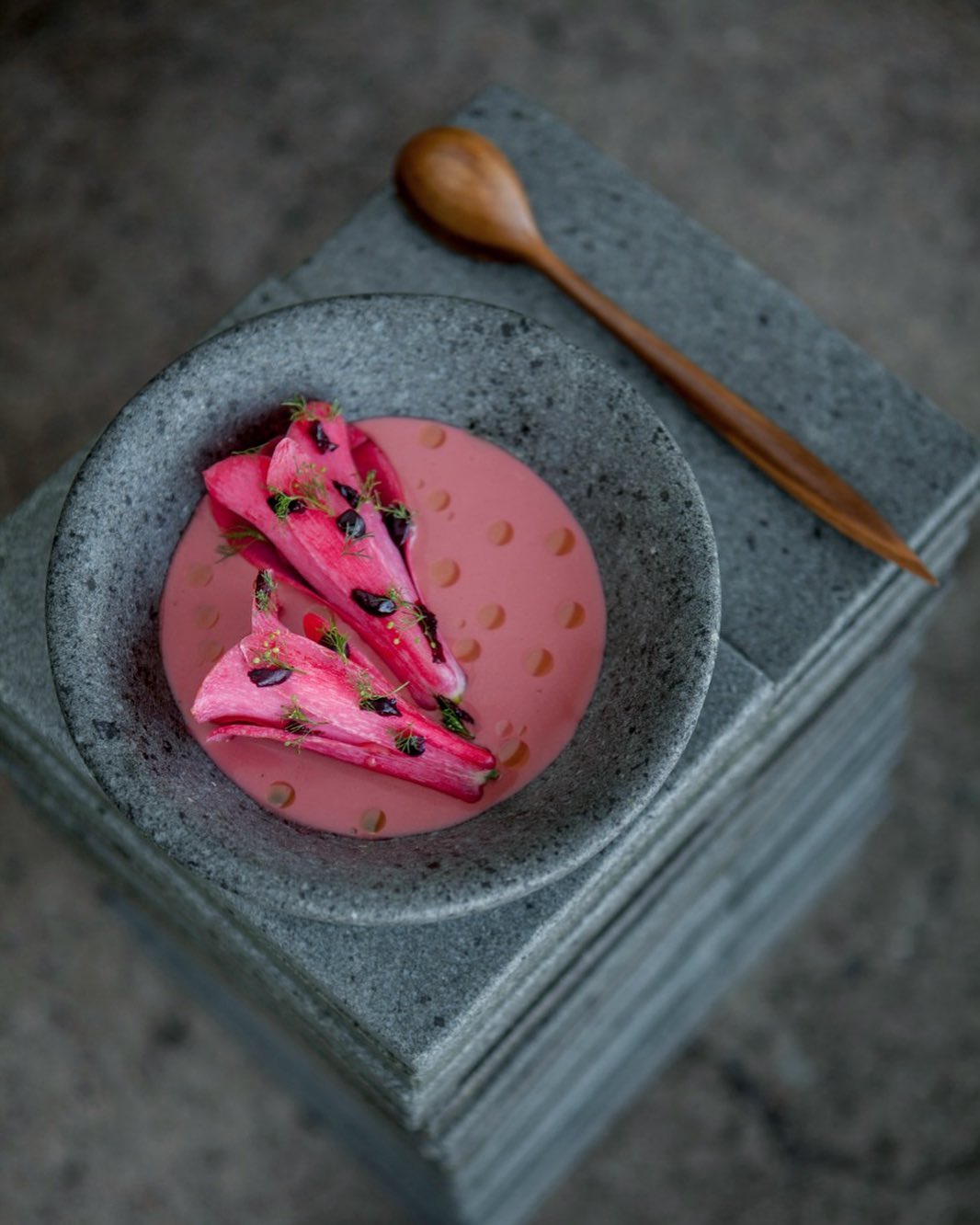 Pulmay frío de ruibarbo (Instagram)