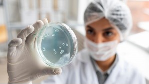 Candida auris puede ser potencialmente mortal: ¿Cómo se contagia?