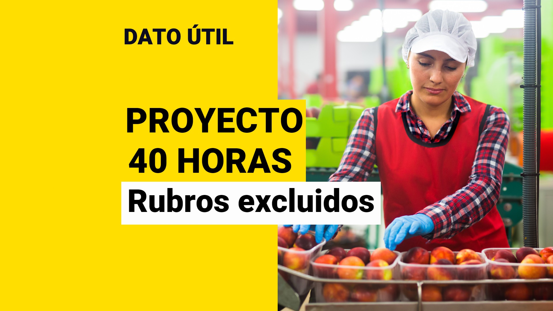 Jornada Laboral De 40 Horas: Conoce Los Rubros Que Quedarían Fuera De ...