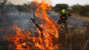 'Amenaza a viviendas': Senapred declara Alerta Roja por incendio forestal en dos comunas de la Región de La Araucanía