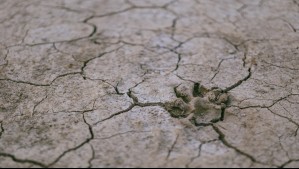 Podcast Megatalks sobre crisis hídrica en Chile: 'No hay forma de producir alimentos si no es con agua'
