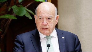 Senador Insulza por ataques a Carabineros: '¿Qué es esto del perro 'Matapacos'? Yo cuando lo vi me causó horror'