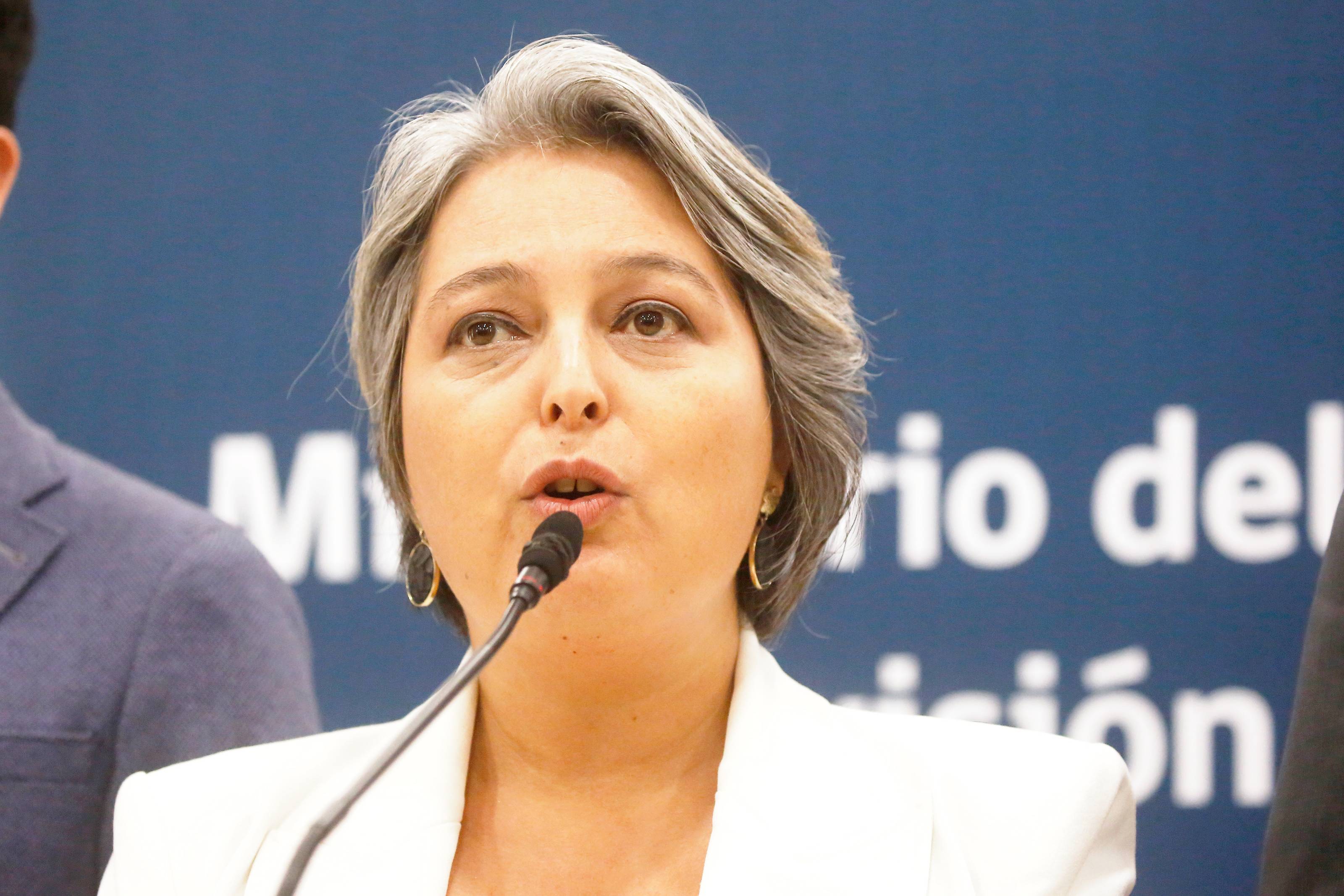 "Se Va A Ir Viendo Cómo Evoluciona La Economía": Ministra Jara No ...