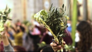 ¿Qué lleva el ramo de Domingo de Ramos y cuál es su significado?