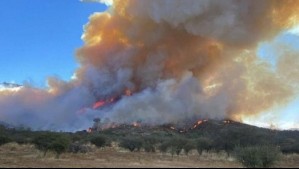 Senapred declara 'Alerta Amarilla' por incendio forestal en Melipilla: Siniestro abarca 35 hectáreas