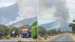 Alerta Roja por incendio forestal en Casablanca: Fuego amenaza sectores poblados