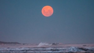 ¿Qué es la Luna Rosa y cuándo se podrá ver?