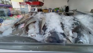 Algunos se venden podridos: Pescados de ferias bajo la lupa tras fiscalizaciones