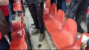 Arrojan ratas muertas desde las gradas en un partido en Bélgica: 'Esperamos que la Pro League actúe'
