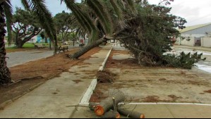 Meteorología emite aviso de 'viento' en zonas de tres regiones del país